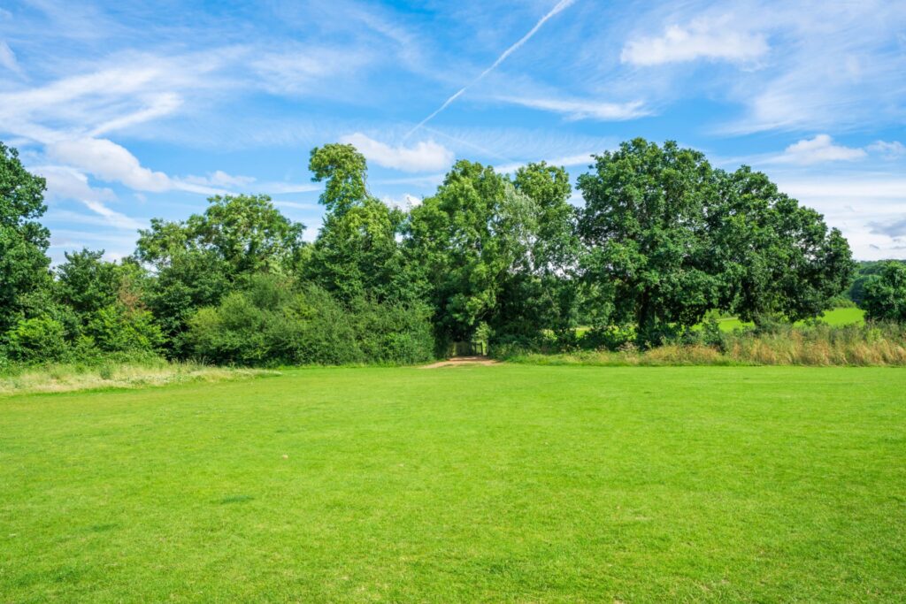 Field