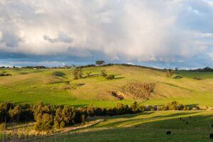 Farming land